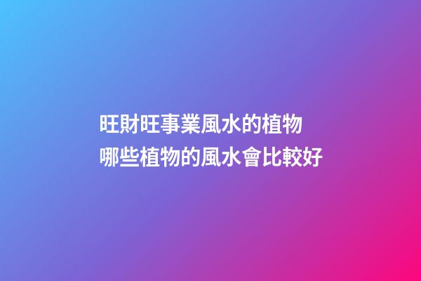 旺財旺事業風水的植物 哪些植物的風水會比較好